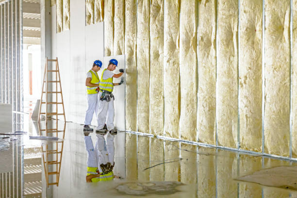 Best Residential Insulation in River Bend, NC